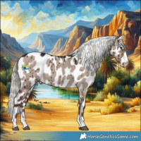 Horse Color:Liver Red Dun Mushroom Appaloosa Brindle 