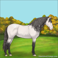 Horse Color:Platinum Buckskin Roan Varnish 