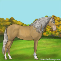 Horse Color:Gray Silver Classic Cream Champagne Tobiano