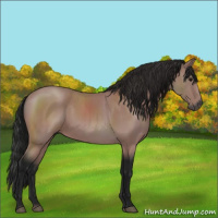 Horse Color:Gray Platinum Bay 