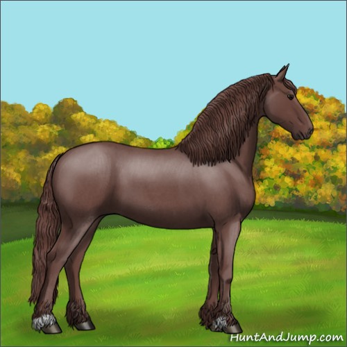 Horse Color:Chocolate Smoky Blue Roan 
