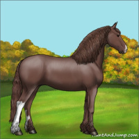 Horse Color:Chocolate Smoky Black 