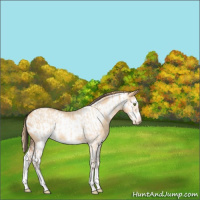 Horse Color:Amber Champagne Dun Splash  and Gold Champagne Roan Splash Frame Blanket 