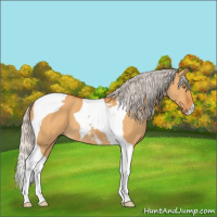 Horse Color:Silver Buckskin Dun Tobiano 