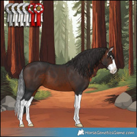 Horse Color:Brown Splash 