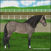Horse Color:Brown Dun Varnish Brindle