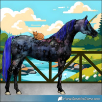 Horse Color:ERROR: UNKNOWN ANOMALY