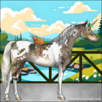 Horse Color:Gray White Spotted Liver Red Dun Mushroom Tobiano Brindle