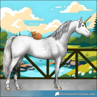 Horse Color:Gray White Spotted Silver Brown Dun Mushroom Rabicano Brindle 