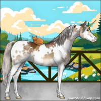 Horse Color:White Spotted Silver Brown Dun Sabino Splash Brindle 