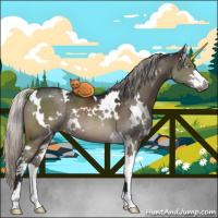 Horse Color:Gray White Spotted Silver Brown Dun Mushroom Sabino 