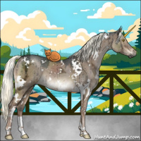 Horse Color:Gray White Spotted Liver Red Dun Ice Mushroom Brindle 