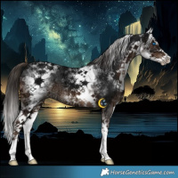 Horse Color:White Spotted Liver Chestnut Ice Splash 