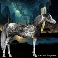 Horse Color:Midnight Liver Red Dun Ice Splash Tobiano Brindle 