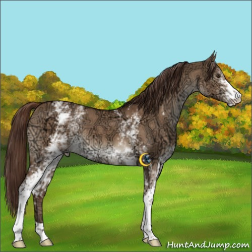 Horse Color:White Spotted Liver Red Dun Ice 
