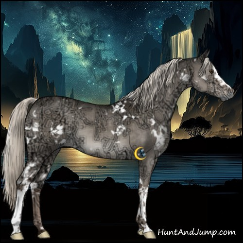 Horse Color:White Spotted Liver Red Dun Ice Mushroom Brindle 