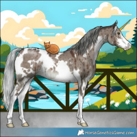 Horse Color:White Spotted Liver Red Dun Mushroom Sabino Brindle 