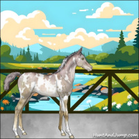 Horse Color:White Spotted Liver Red Dun Pearl Mushroom Brindle 