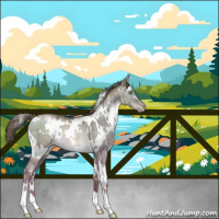 Horse Color:White Spotted Liver Red Dun Pearl Brindle 