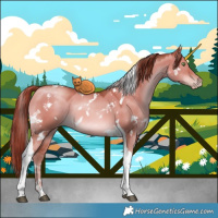 Horse Color:White Spotted Liver Red Dun Pearl Tobiano 