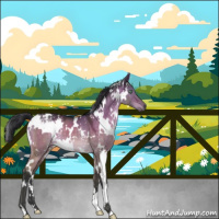 Horse Color:White Spotted Brown Dun Mushroom