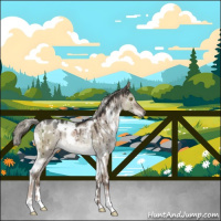 Horse Color:White Spotted Liver Red Dun Mushroom Rabicano Brindle 