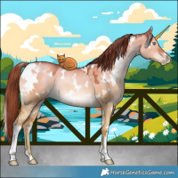 Horse Color:White Spotted Liver Red Dun Pearl