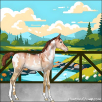 Horse Color:White Spotted Liver Red Dun Pearl 