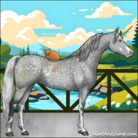 Horse Color:Silver Grullo Chinchilla Sabino 
