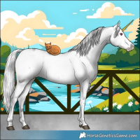 Horse Color:Silver Grullo Chinchilla Sabino 