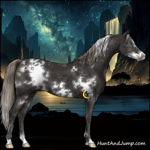 Horse Color:White Spotted Liver Chestnut Mushroom Frame