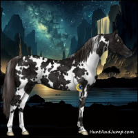 Horse Color:White Spotted Liver Chestnut Ice