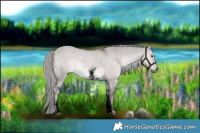 Horse Color:Void Platinum White Spotted Chocolate Palomino Dun Sabino Rabicano