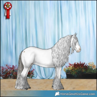 Horse Color:Buckskin Dun Appaloosa 