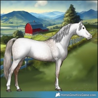 Horse Color:Gray Black Pearl Tobiano 