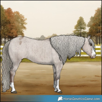 Horse Color:Liver Red Dun Mushroom Appaloosa Brindle