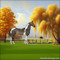 Horse Color:Gray Brown Dun Tobiano Rabicano 