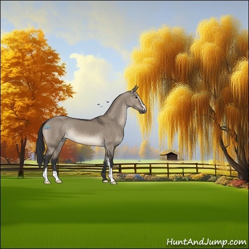 Horse Color:Brown Dun Sabino 