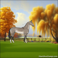 Horse Color:Brown Dun Sabino