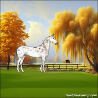 Horse Color:Gray Buckskin Dun Sabino Blanket Rabicano 