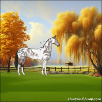 Horse Color:Gray Platinum Buckskin Dun Tobiano Near Leopard Rabicano 