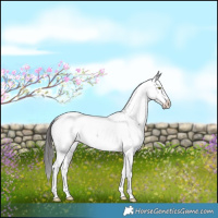 Horse Color:Liver Chestnut Sabino Near Fewspot 