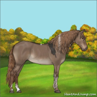 Horse Color:Liver Red Dun Tobiano