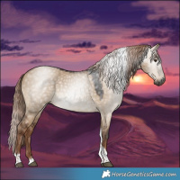 Horse Color:Gray Liver Red Dun Tobiano 