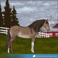 Horse Color:White Spotted Liver Red Dun Tobiano 