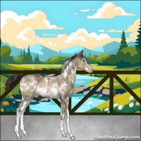 Horse Color:Gray White Spotted Brown Ice Pearl Dun Mushroom Sabino Brindle 