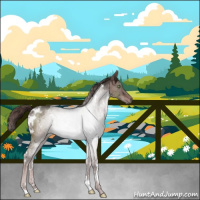 Horse Color:White Spotted Liver Red Dun Rabicano Brindle