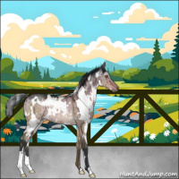 Horse Color:White Spotted Brown Dun Mushroom Rabicano Brindle 
