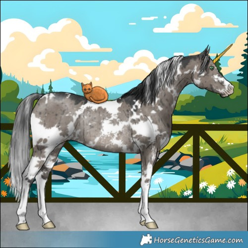 Horse Color:White Spotted Grullo Mushroom Sabino Rabicano Brindle