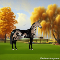 Horse Color:Void White Spotted Brown Dun Tobiano Rabicano 